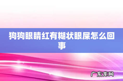 狗狗眼睛红有糊状眼屎怎么回事