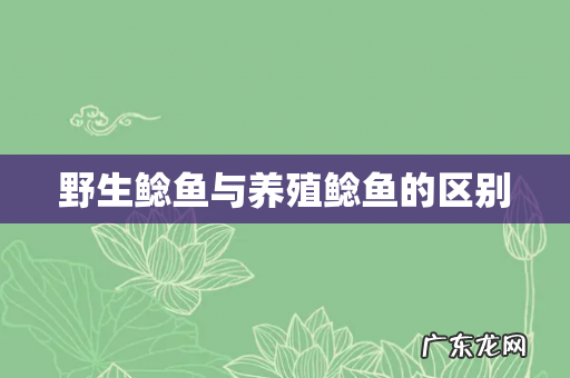 野生鲶鱼与养殖鲶鱼的区别