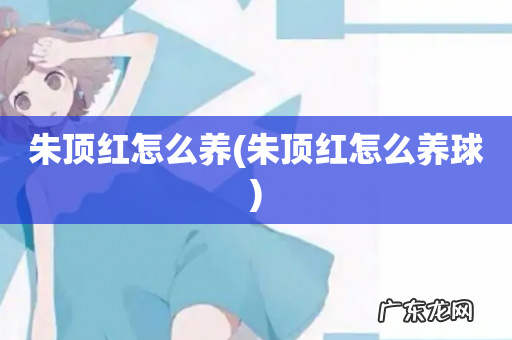朱顶红怎么养球 朱顶红怎么养