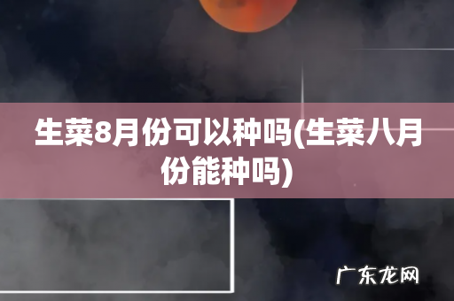 生菜八月份能种吗 生菜8月份可以种吗