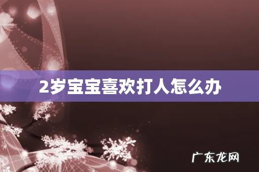 2岁宝宝喜欢打人怎么办