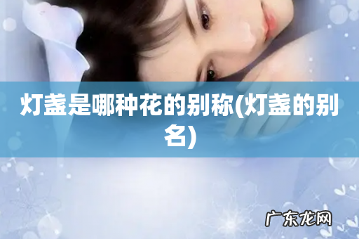 灯盏的别名 灯盏是哪种花的别称
