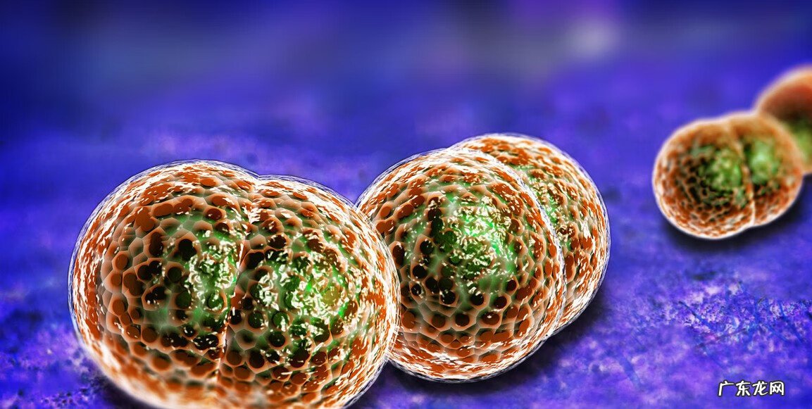 大人得脑膜炎严重吗 急性脑膜炎严重吗