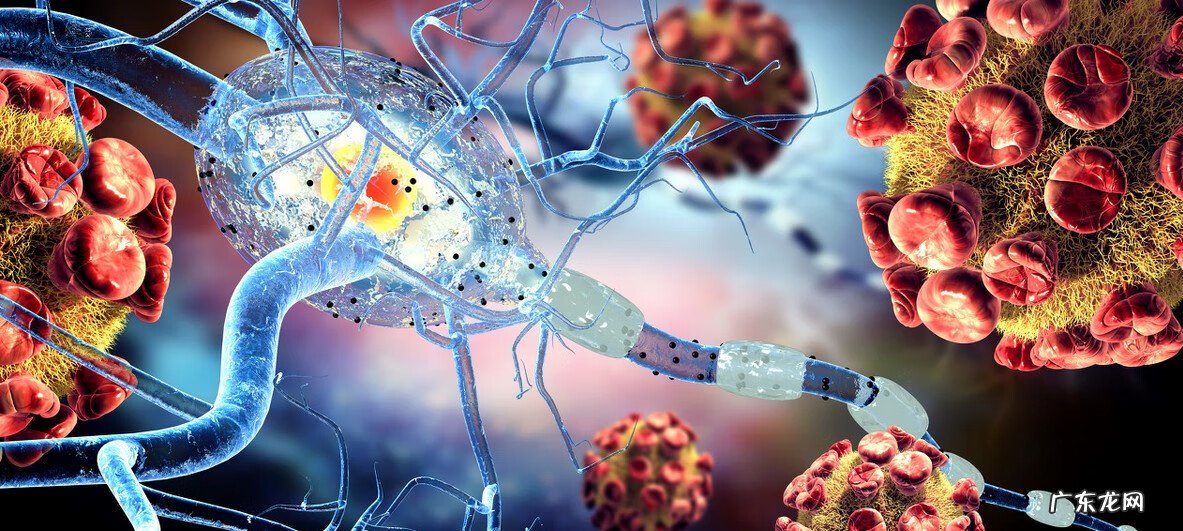 大人得脑膜炎严重吗 急性脑膜炎严重吗