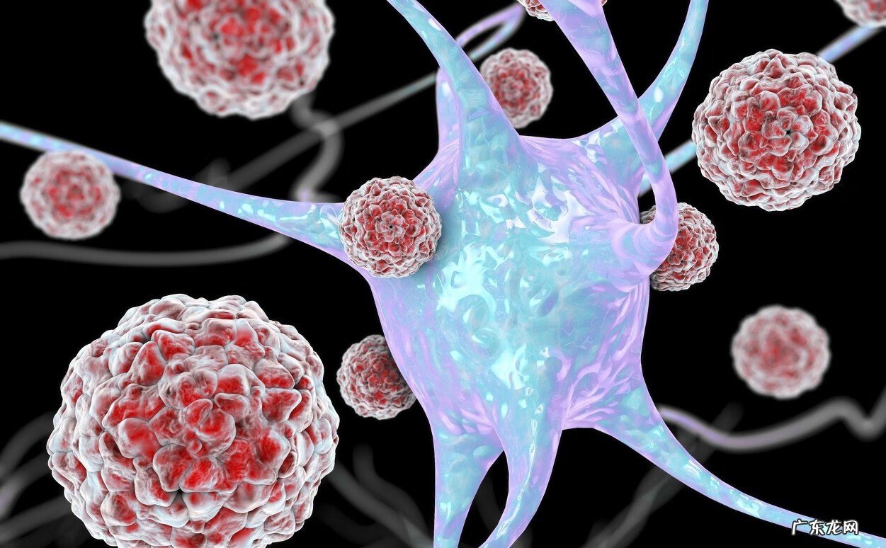 大人得脑膜炎严重吗 急性脑膜炎严重吗