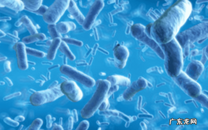 大人得脑膜炎严重吗 急性脑膜炎严重吗