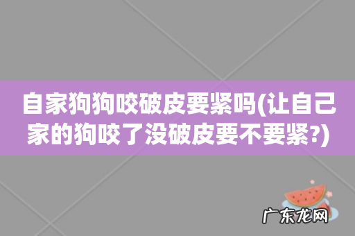 让自己家的狗咬了没破皮要不要紧? 自家狗狗咬破皮要紧吗