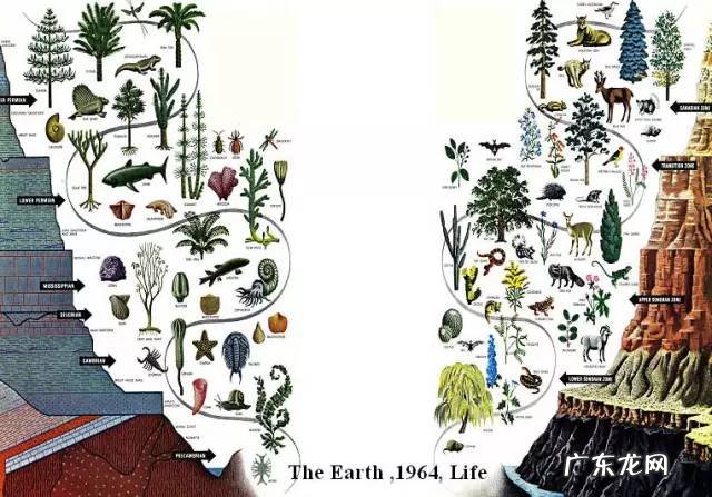 看风水口诀 看地理风水口诀