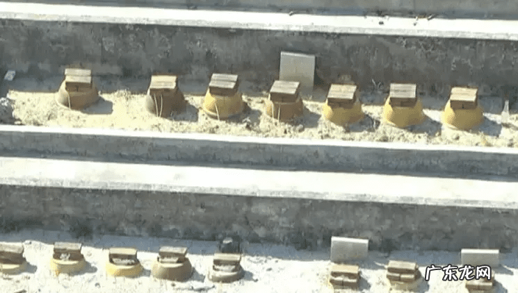 深圳风水最好的墓地 深圳哪个墓园环境最好