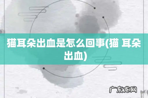 猫 耳朵 出血 猫耳朵出血是怎么回事