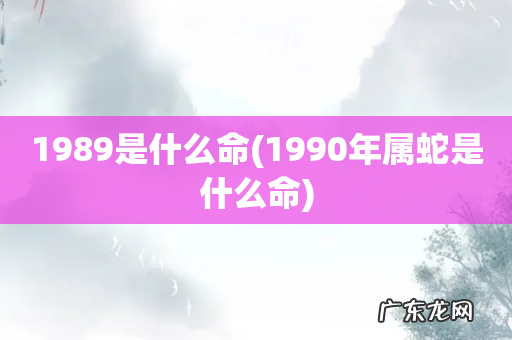 1990年属蛇是什么命 1989是什么命