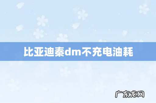 比亚迪秦dm不充电油耗