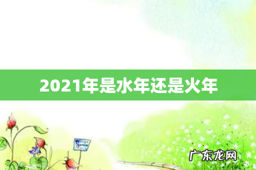 2021年是水年还是火年