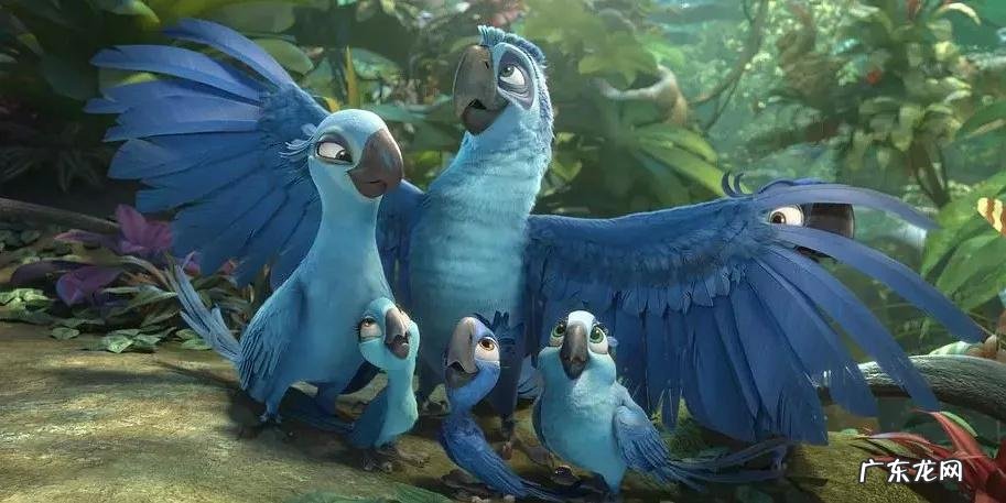 愤怒的小鸟里约大冒险完结版