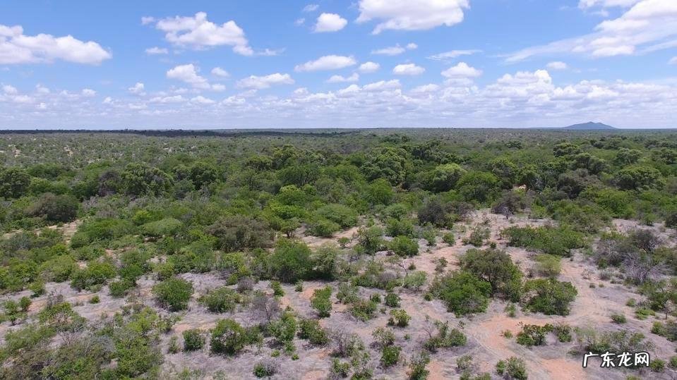 愤怒的小鸟里约大冒险完结版