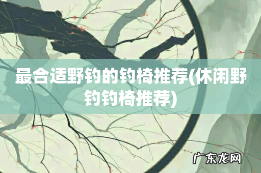 休闲野钓钓椅推荐 最合适野钓的钓椅推荐