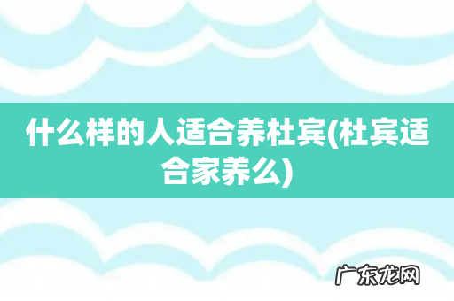杜宾适合家养么 什么样的人适合养杜宾