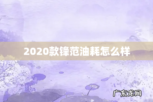 2020款锋范油耗怎么样