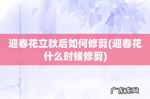 迎春花什么时候修剪 迎春花立秋后如何修剪