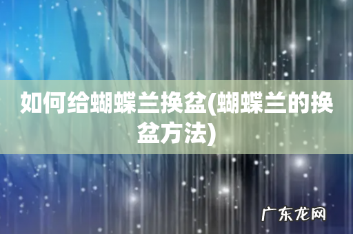 蝴蝶兰的换盆方法 如何给蝴蝶兰换盆