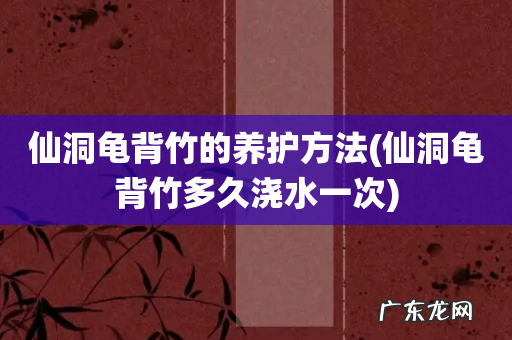 仙洞龟背竹多久浇水一次 仙洞龟背竹的养护方法