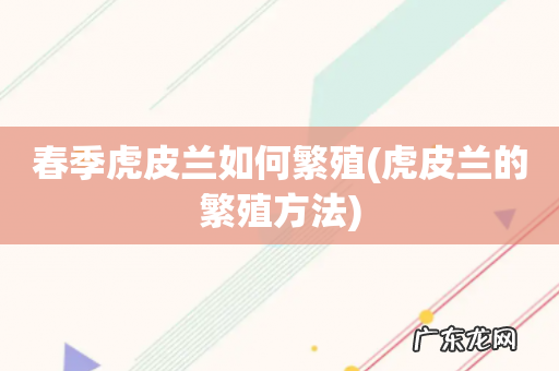 虎皮兰的繁殖方法 春季虎皮兰如何繁殖