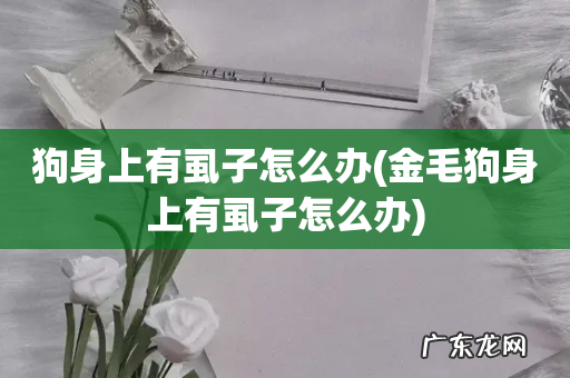 金毛狗身上有虱子怎么办 狗身上有虱子怎么办
