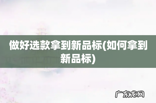 如何拿到新品标 做好选款拿到新品标