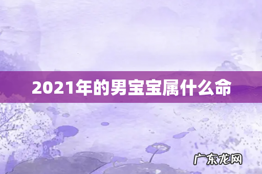 2021年的男宝宝属什么命