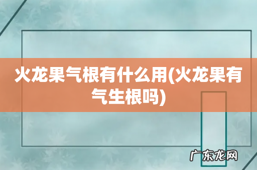 火龙果有气生根吗 火龙果气根有什么用