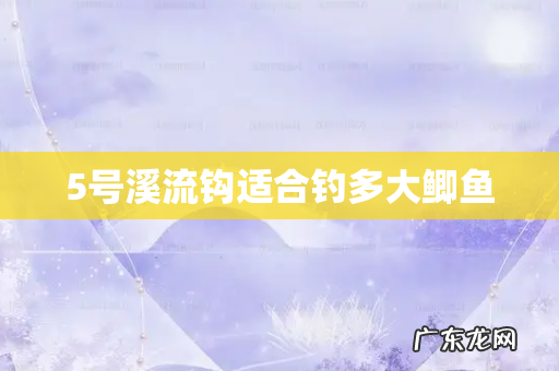 5号溪流钩适合钓多大鲫鱼