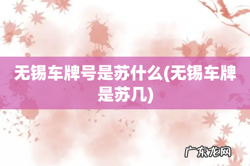 无锡车牌是苏几 无锡车牌号是苏什么