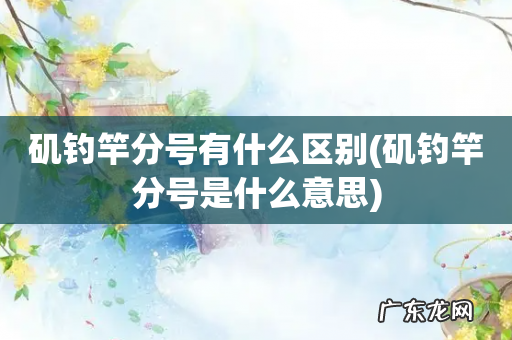 矶钓竿分号是什么意思 矶钓竿分号有什么区别