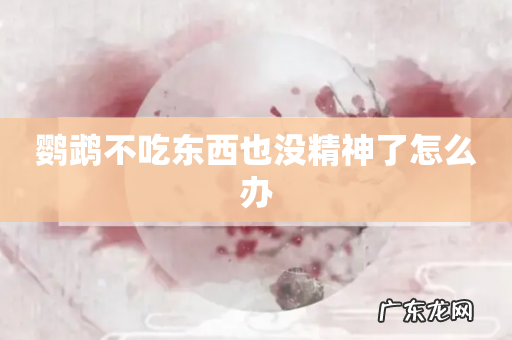 鹦鹉不吃东西也没精神了怎么办