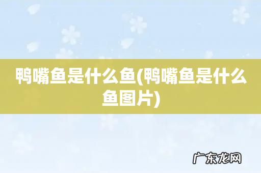 鸭嘴鱼是什么鱼图片 鸭嘴鱼是什么鱼