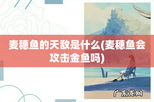 麦穗鱼会攻击金鱼吗 麦穗鱼的天敌是什么