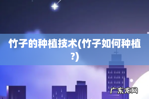 竹子如何种植? 竹子的种植技术