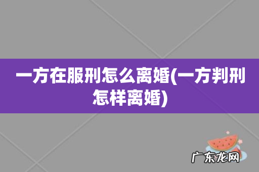 一方判刑怎样离婚 一方在服刑怎么离婚