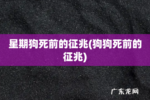狗狗死前的征兆 星期狗死前的征兆
