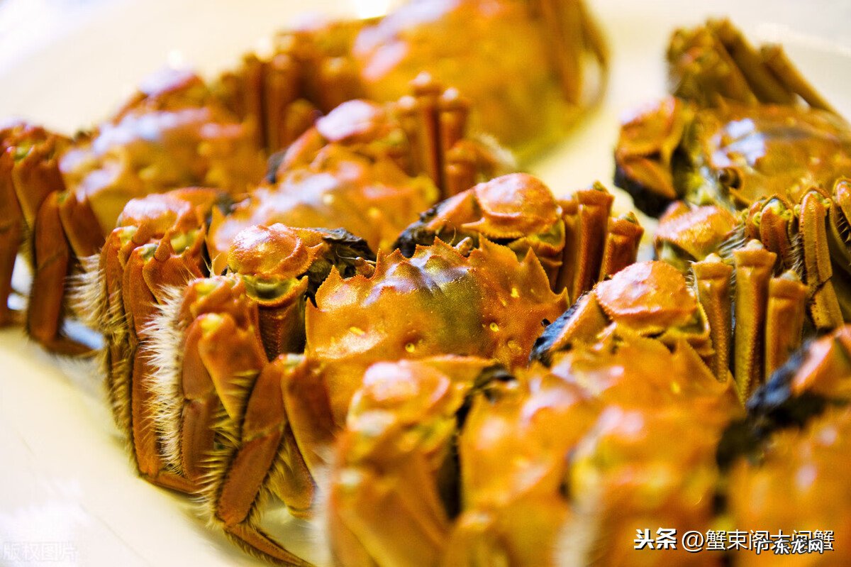 大闸蟹蒸多长时间最好吃 蒸大闸蟹需要多长时间最好