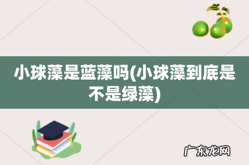 小球藻到底是不是绿藻 小球藻是蓝藻吗