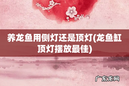 龙鱼缸顶灯摆放最佳 养龙鱼用侧灯还是顶灯