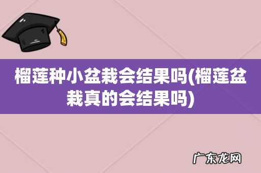 榴莲盆栽真的会结果吗 榴莲种小盆栽会结果吗