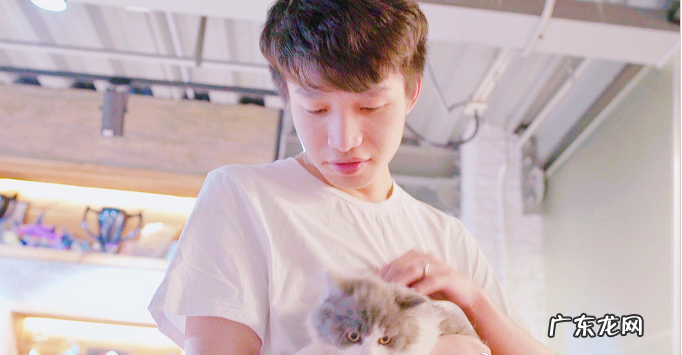 霸业宏图是什么意思