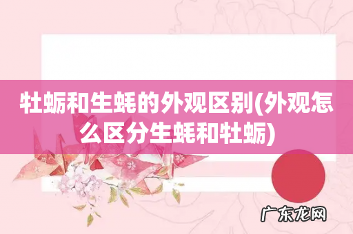 外观怎么区分生蚝和牡蛎 牡蛎和生蚝的外观区别