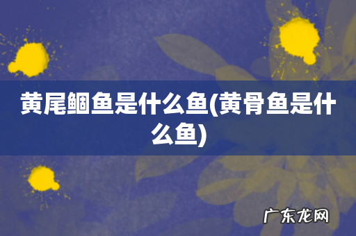 黄骨鱼是什么鱼 黄尾鲴鱼是什么鱼