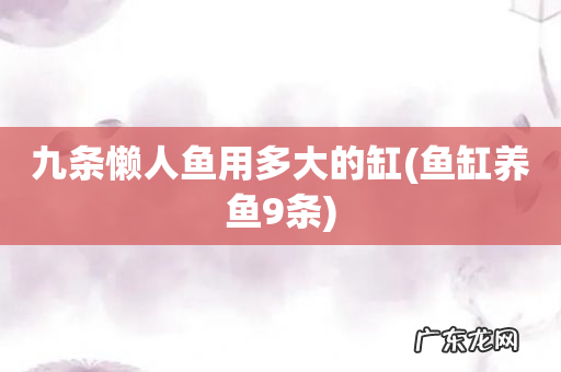 鱼缸养鱼9条 九条懒人鱼用多大的缸