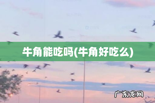 牛角好吃么 牛角能吃吗