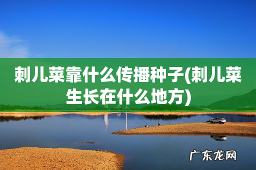 刺儿菜生长在什么地方 刺儿菜靠什么传播种子