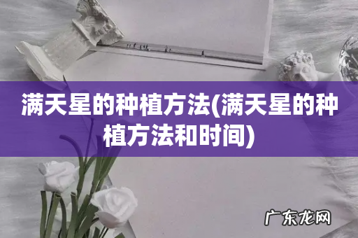 满天星的种植方法和时间 满天星的种植方法